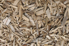 biomass boilers Houlsyke